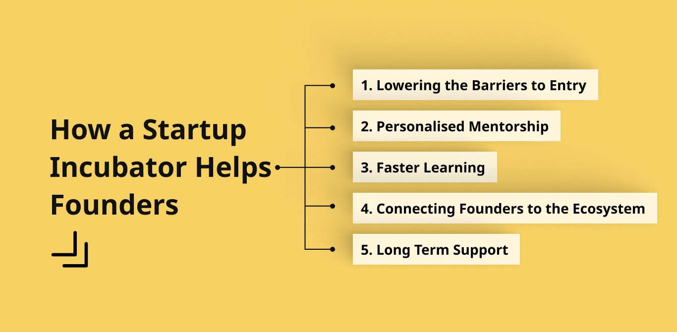 How a Startup Incubator Helps Founders