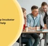 What is a Startup Incubator and how does it help Founders